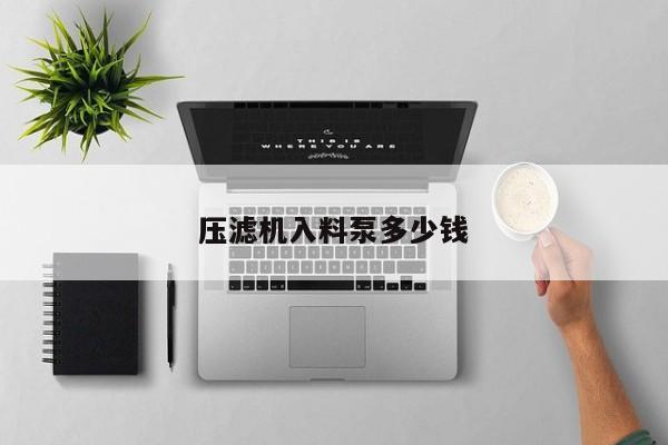 壓濾機(jī)入料泵多少錢
